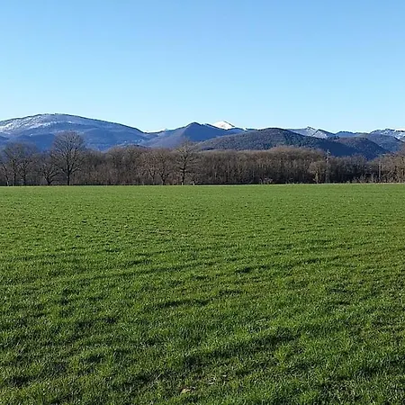 La Ferme Les Cousteres - Modulable - En Couple Ou En Tribu De 2 A 15 Pers Montréjeau
